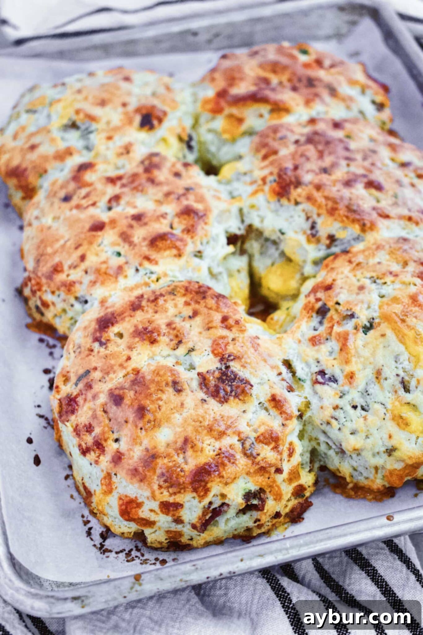 Prize Pig Your Favorite Biscuit 1 featured 17054