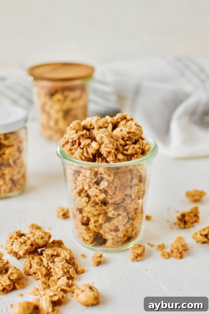 Ultimate Peanut Butter Granola Crunch 1 featured 20285