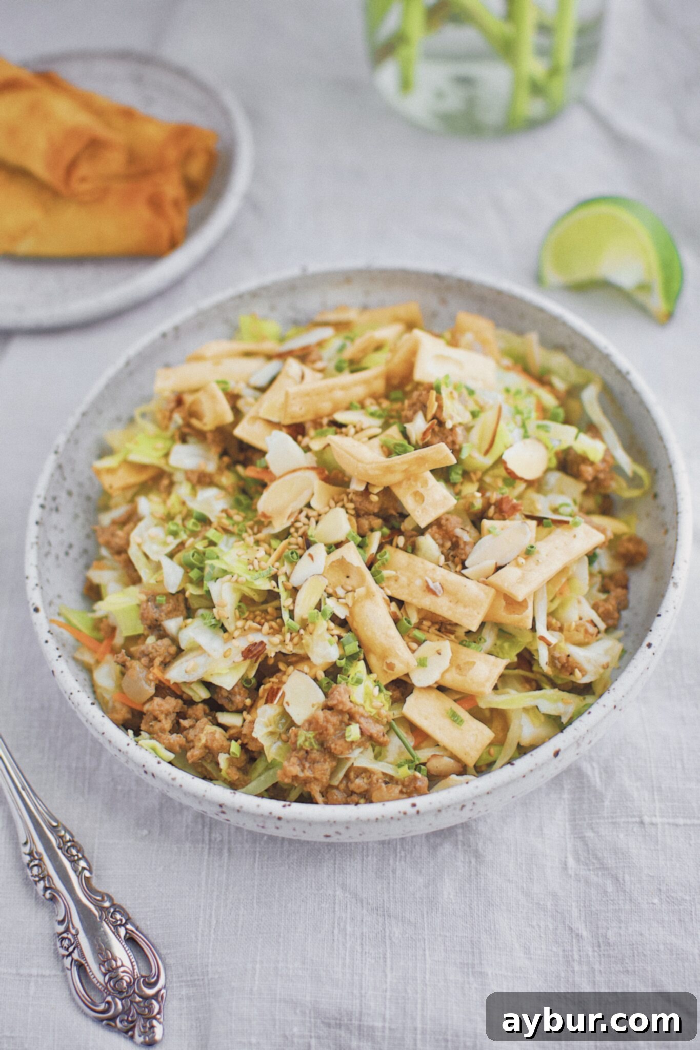 Egg Roll in a Bowl 1 featured 2295