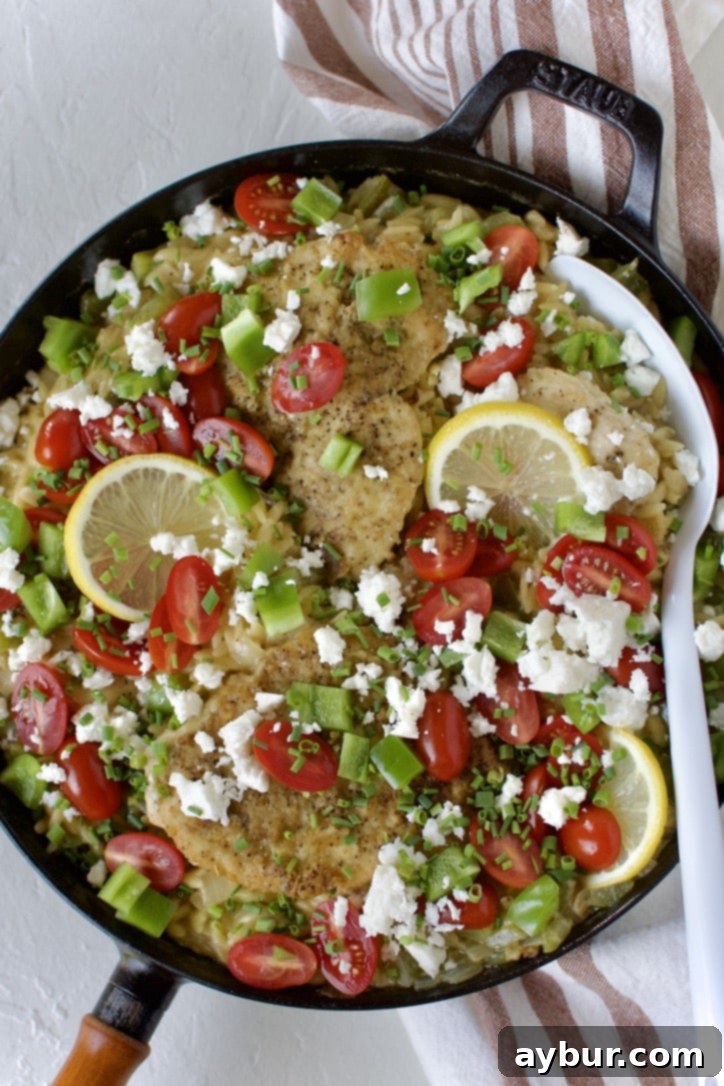 Mediterranean Lemon Orzo Chicken 1 featured 23391