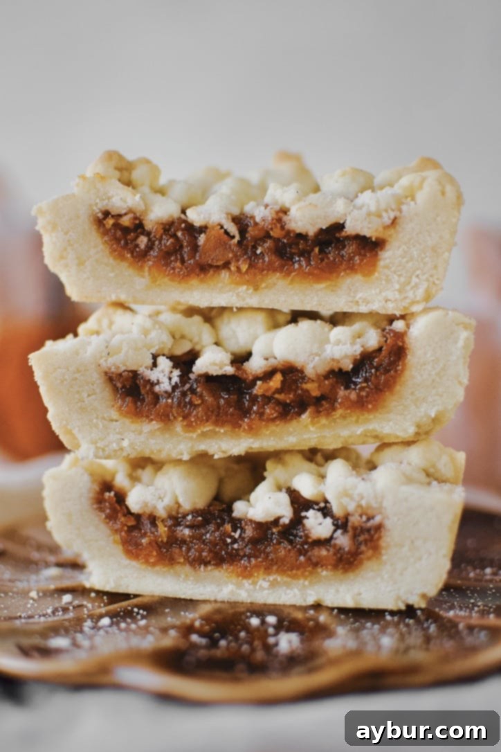 Spiced Pumpkin Delights 1 featured 24722