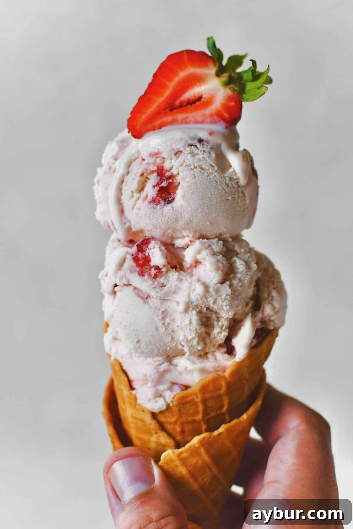 Strawberry Delight 1 featured 27558