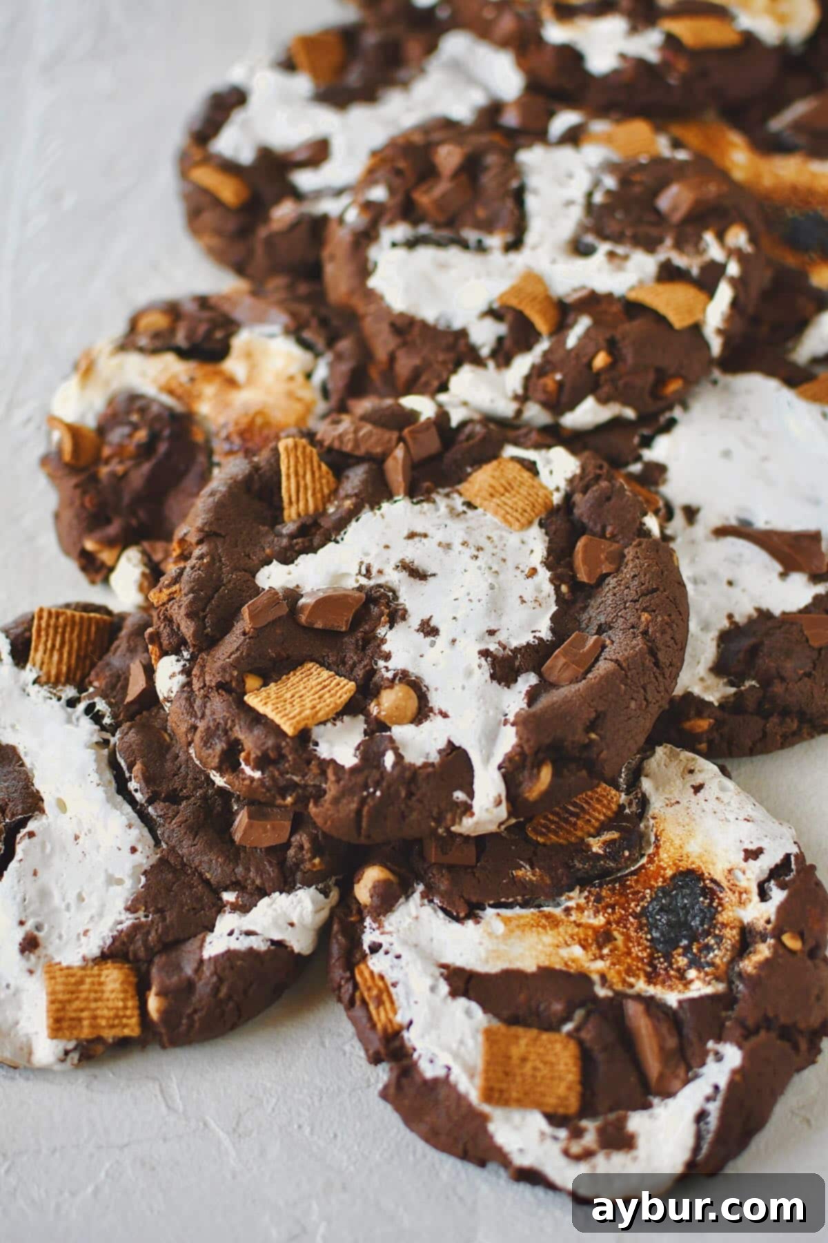 Gooey Chocolate Marshmallow Cookies 1 featured 27920