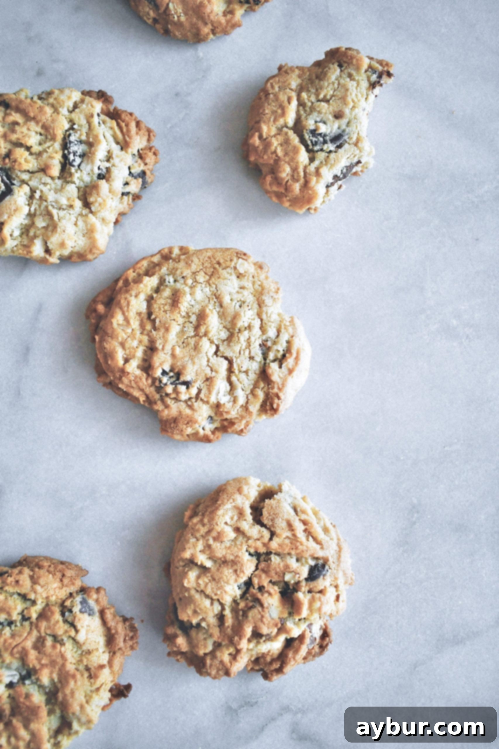Grandpa's Favorite Chocolate Chip Cookies, golden brown with chocolate chips and walnuts