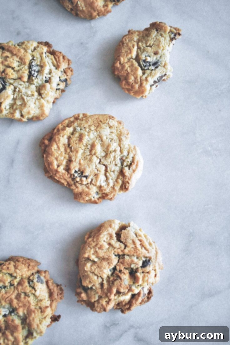 Grandpa's Ultimate Chocolate Chip Cookies on a vintage plate