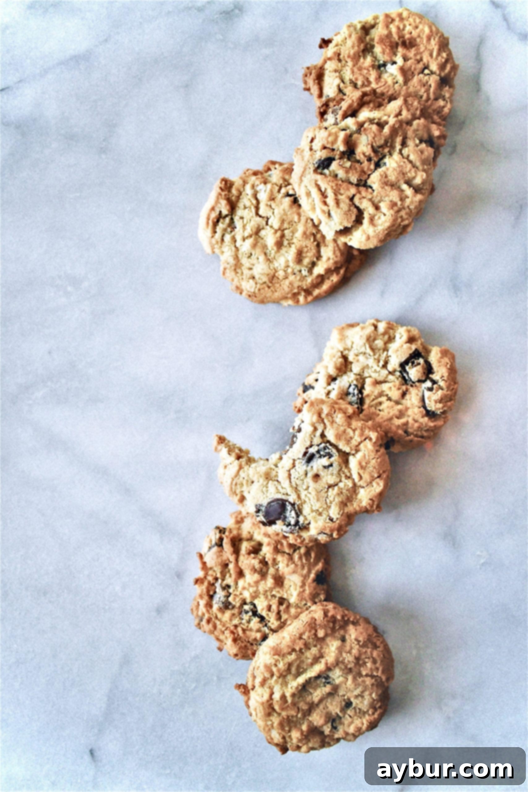 A tin of Grandpa's Favorite Chocolate Chip Cookies, ready for gifting or sharing