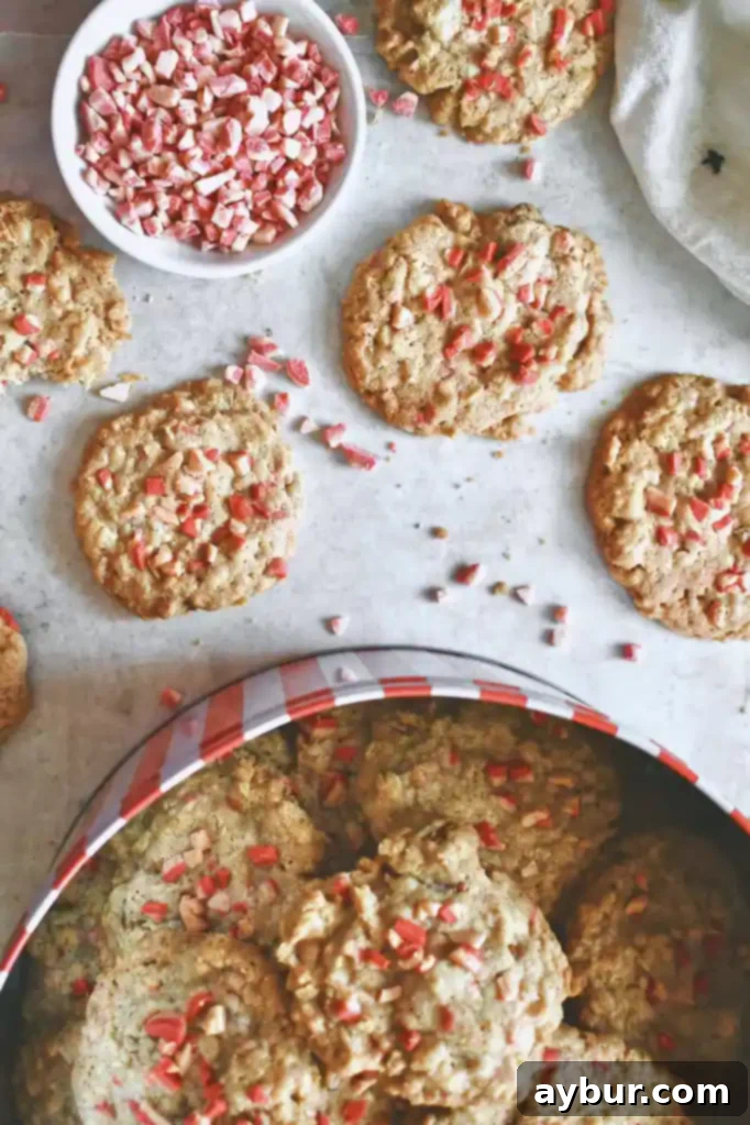 Olivia's Signature Peppermint Cookies 2 Olivia's Famous Peppermint Crunch Cookies on a cooling rack, ready to be enjoyed.