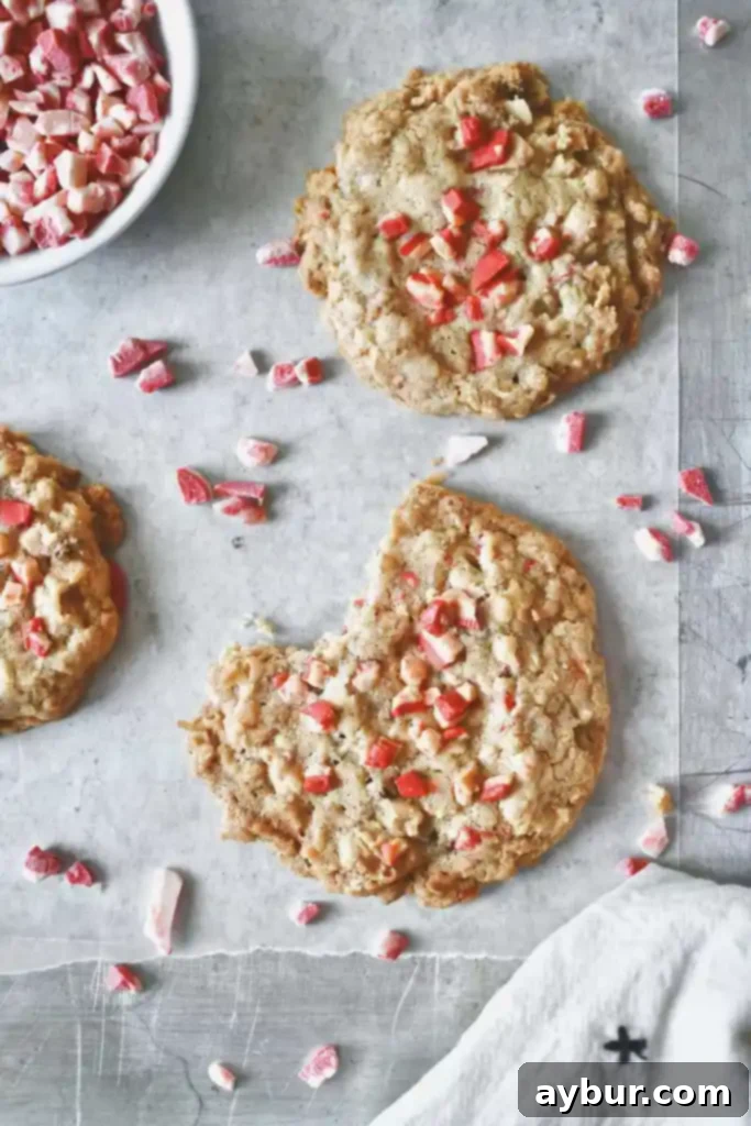 Olivia's Signature Peppermint Cookies 3 Close-up of Olivia's Famous Peppermint Cookies, showing their unique texture and peppermint crunch toppings.
