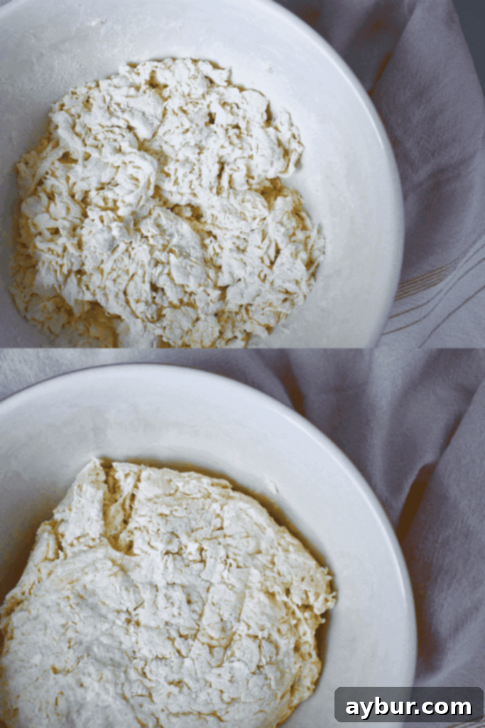 Hand gently forming shaggy Roti dough into a ball before resting