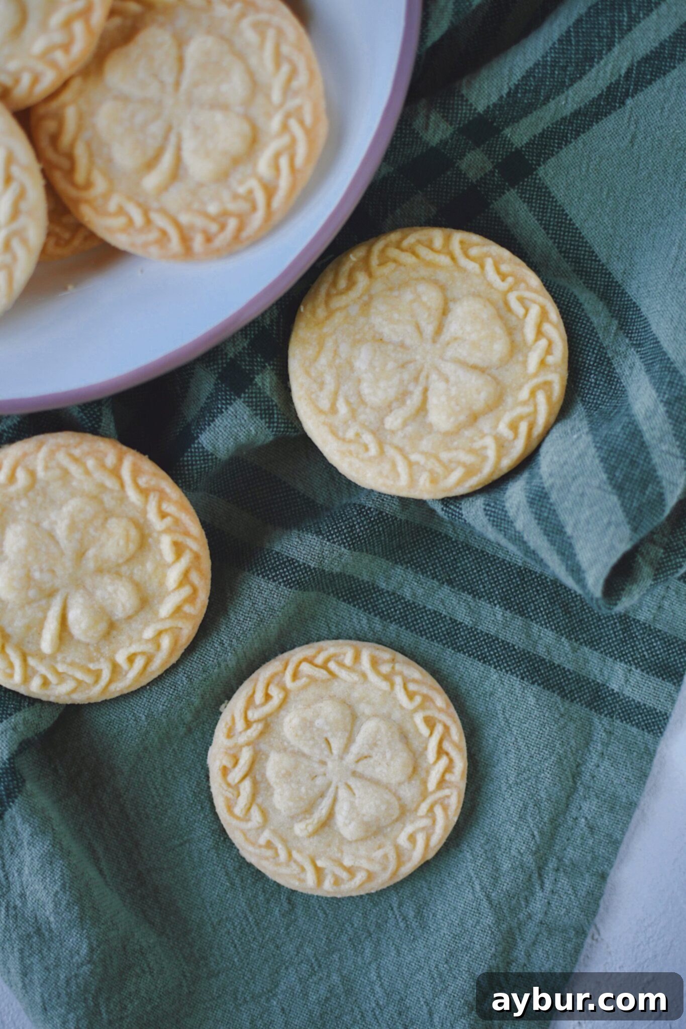 Shortbread cookies laid out to show the final product and the different stamp styles.