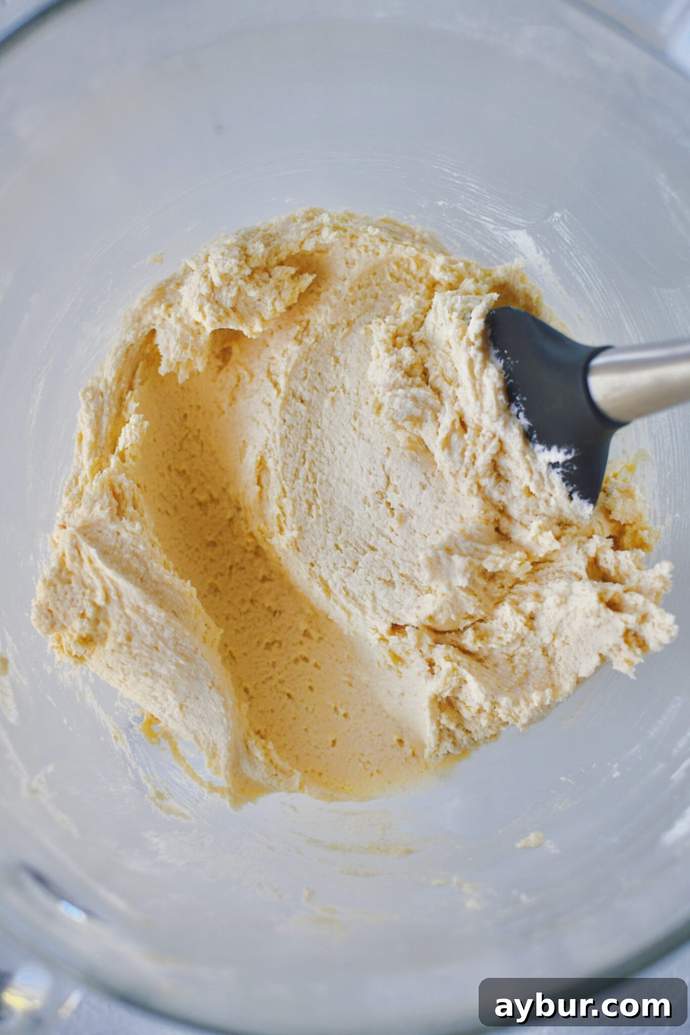 Shortbread dough fully combined.