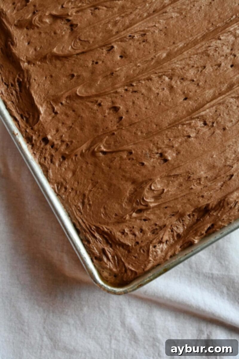 Classic Southern Chocolate Cola Cake 2 Joanna Gaines Chocolate Cola Cake