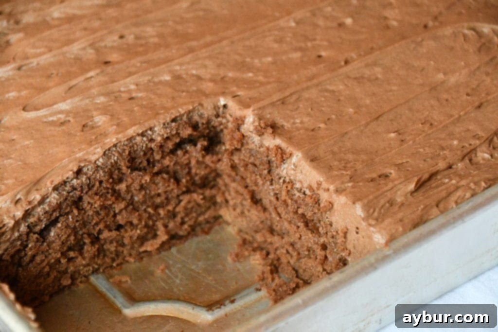 Classic Southern Chocolate Cola Cake 4 Joanna Gaines Chocolate Cola Cake