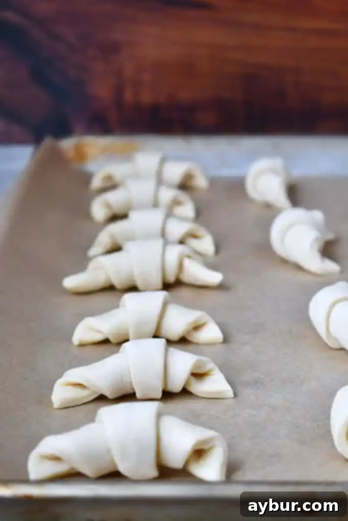 Homemade Bakery Croissants 4 Croissants shaped and arranged on a baking sheet, ready for the proofing stage