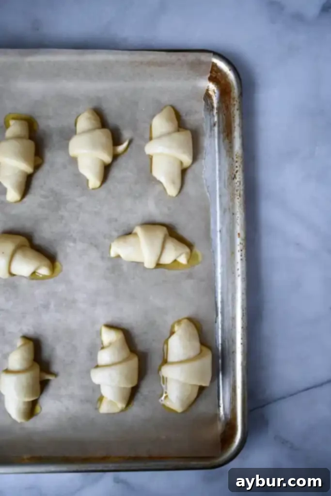Homemade Bakery Croissants 5 Croissants fully proofed, puffed up, and brushed with egg wash, ready to go into the oven