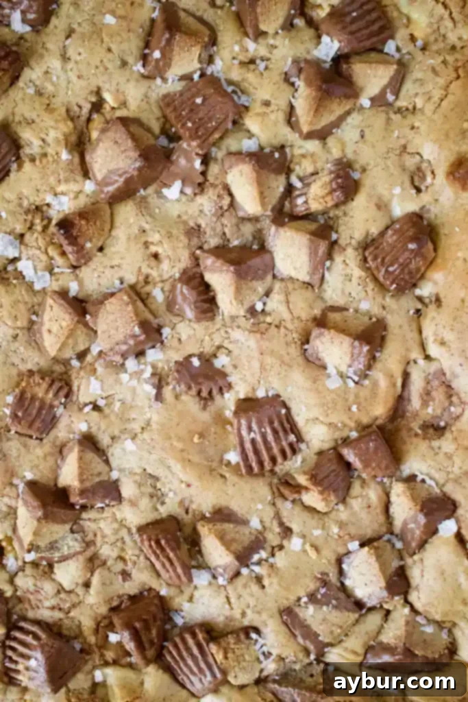 Close-up of Peanut Butter Blondies with visible Reese's pieces