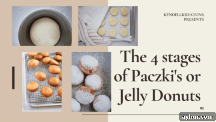 the 4 stages of a jelly donut - Dough rising, frying, filling, and finished product
