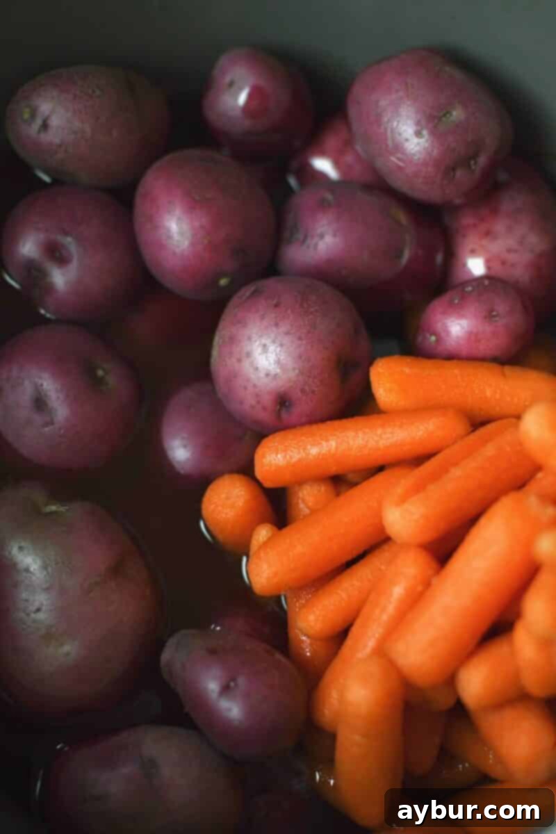 Small red potatoes and baby carrots added to the Instant Pot, submerged in the rich, flavorful liquid left after cooking the corned beef brisket.