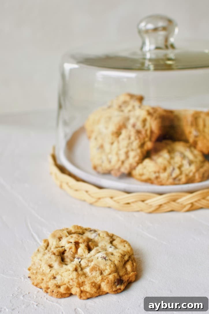 Joanna Gaines Silo Cookie - close up