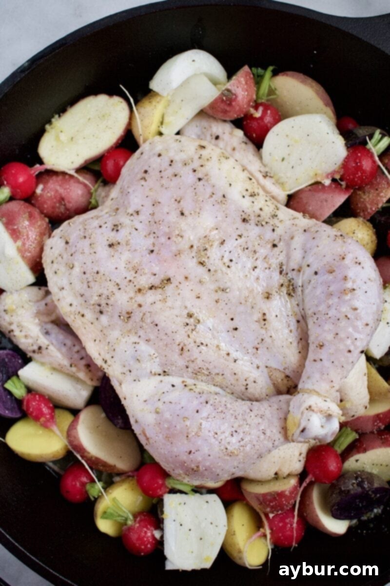 Joanna Gaines Whole Roast Chicken ready for the oven with vegetables