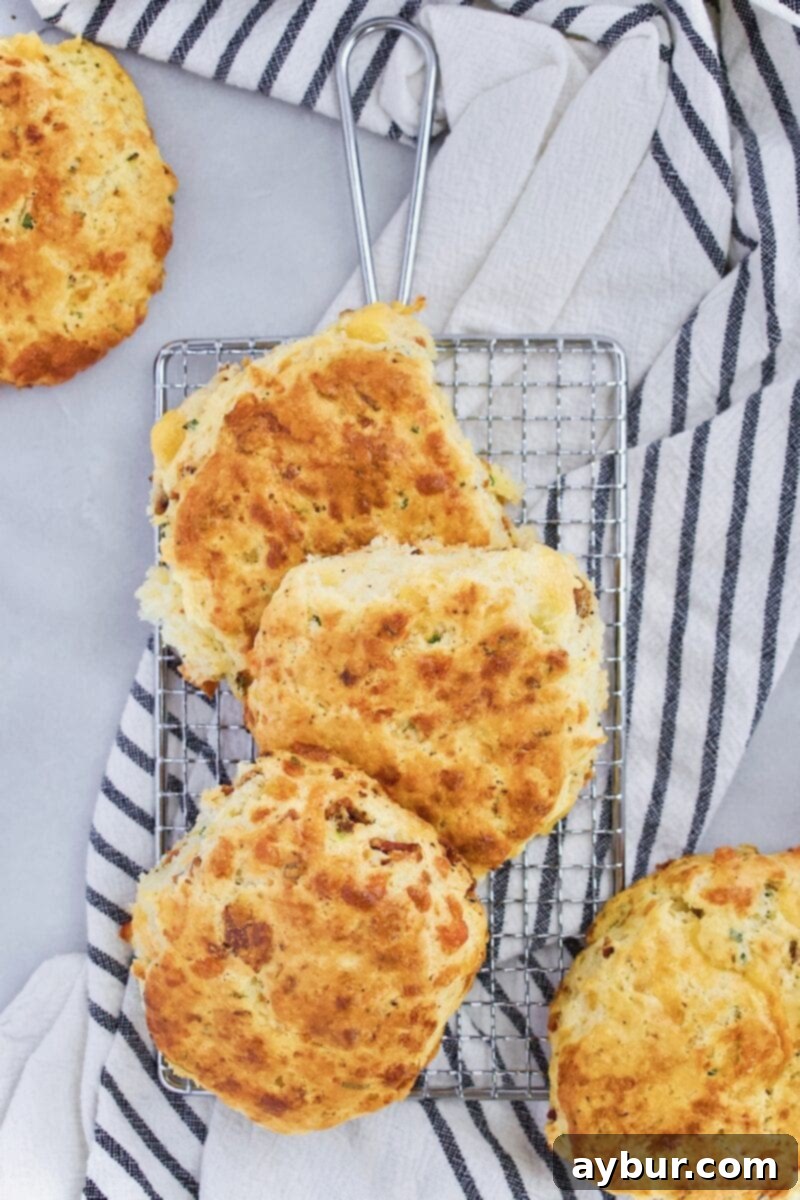 Prize Pig Your Favorite Biscuit 3 Joanna Gaines Prize Pig Biscuits