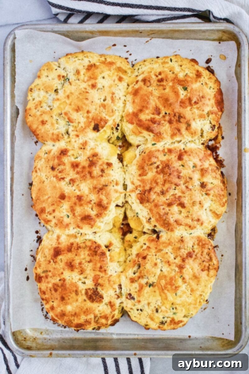 Prize Pig Your Favorite Biscuit 4 Joanna Gaines Biscuit recipe fresh from the oven