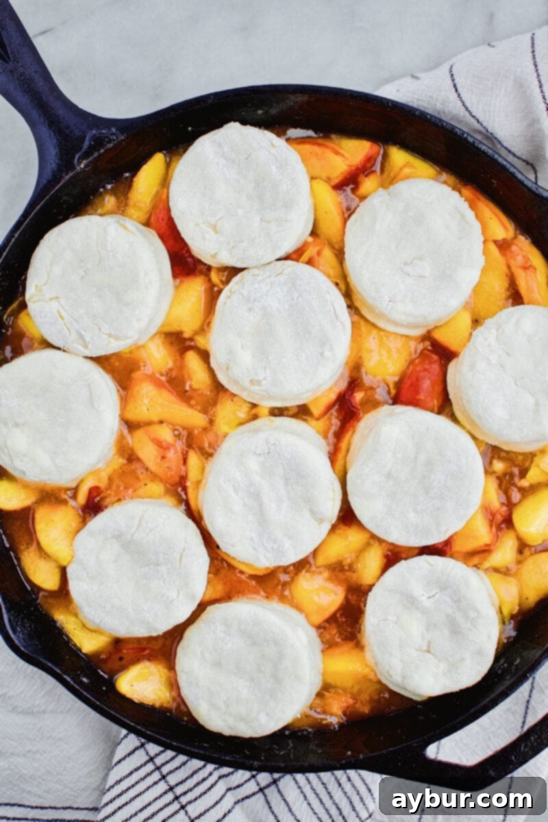 Rustic Skillet Peach Cobbler with Sweet Brown Sugar Crumble 5 Homemade biscuits carefully placed on top of the peach filling in a cast-iron skillet, ready for the crumble layer.