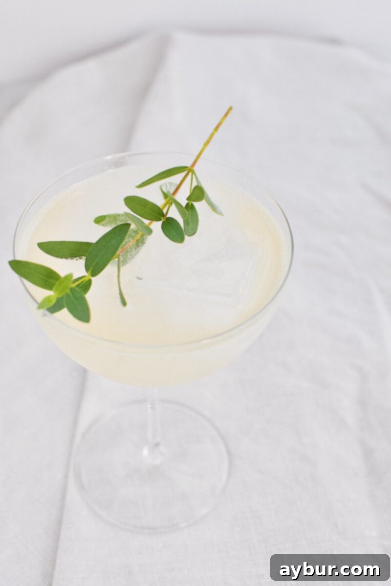 A coupe glass filled with Sparkling Pear and Elderflower Lemonade cocktail recipe and a shaker on the side