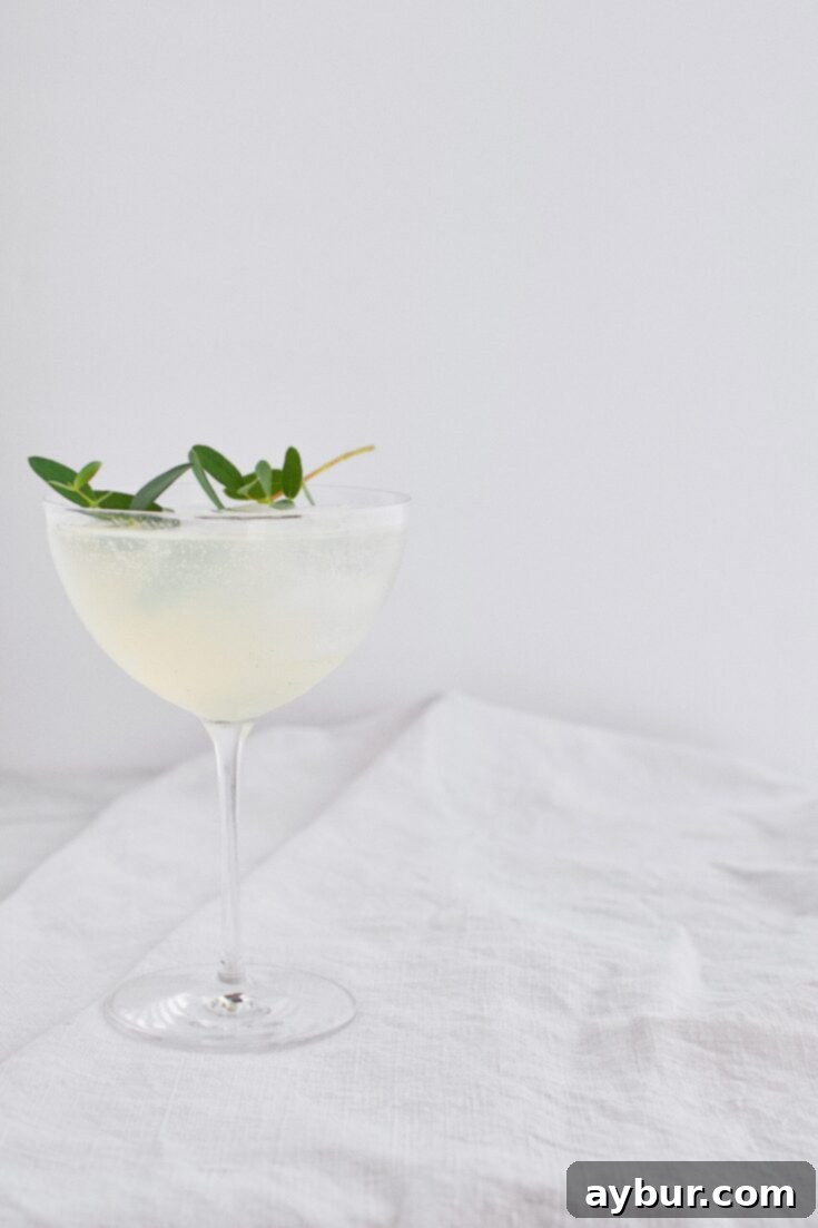 Elderflower & Pear Sparkling Lemonade Cocktail 8 Sparkling Pear and Elderflower Lemonade Cocktail, garnished for serving