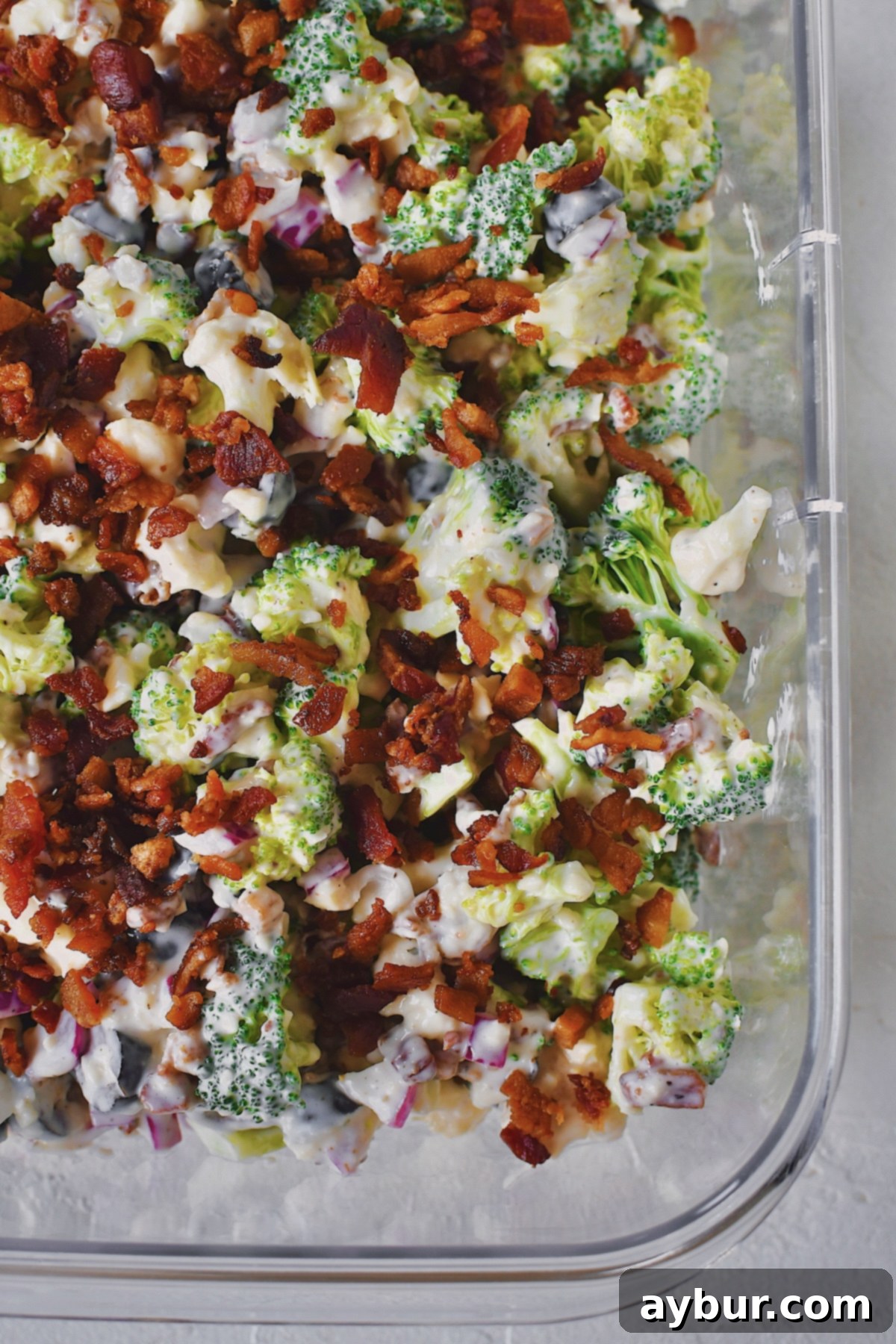 Vibrant Broccoli and Cauliflower Power Salad 11 Finished Broccoli and Cauliflower Salad with some bacon on top. In a container ready to take on a picnic.
