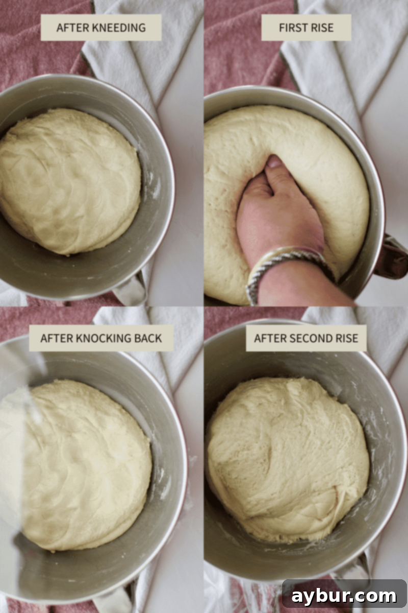 The fluffy dough for Pumpkin Spice Sticky Buns after its initial rises
