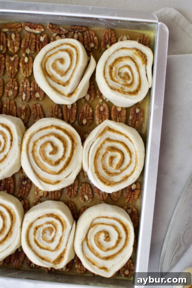 Unproofed Pumpkin Spice Sticky Buns in the baking pan
