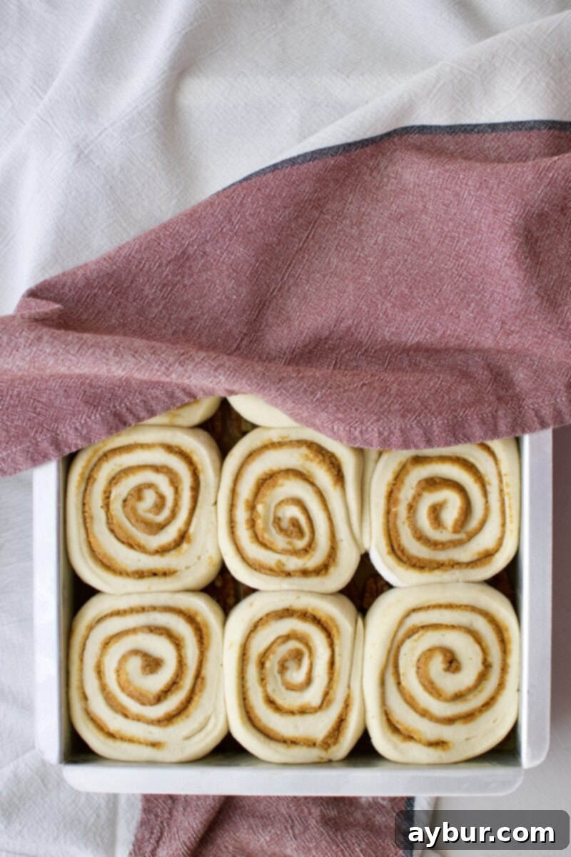 Pumpkin Sticky Buns perfectly proofed and ready for baking