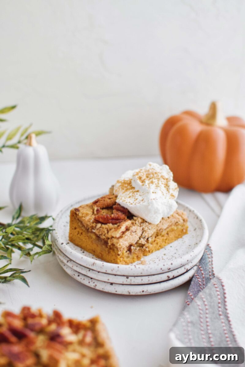 Spiced Pumpkin Bars 3 A single, perfectly cut Pumpkin Dessert Bar showcasing its distinct layers, ready to be enjoyed.