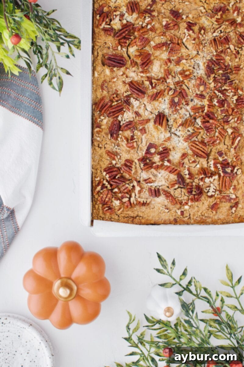 Spiced Pumpkin Bars 4 A close-up shot of freshly baked Pumpkin Dessert Bars, showcasing the golden-brown crust and inviting texture.
