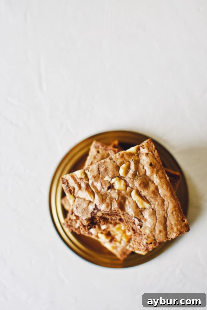 Decadent Fudgy Walnut Brownies 11 A slice of classic fudgy walnut brownies with a scoop of ice cream