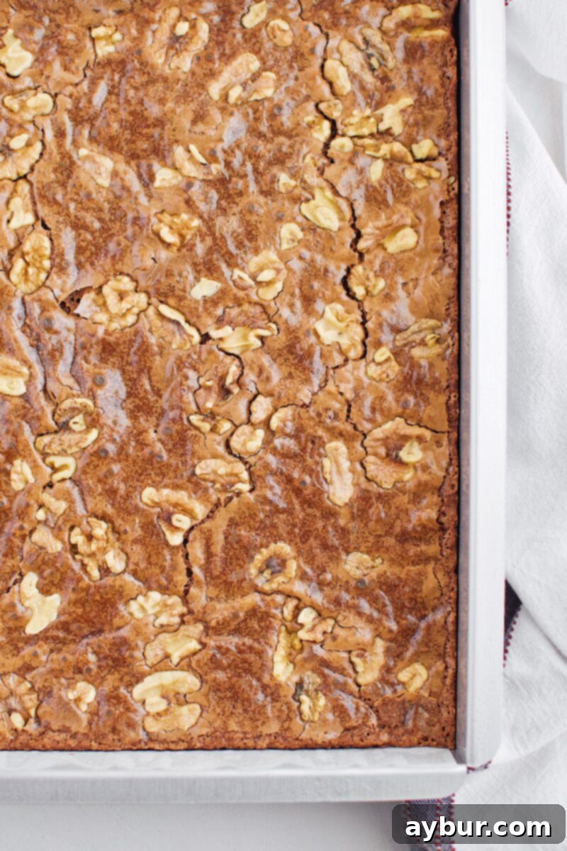 Decadent Fudgy Walnut Brownies 14 Close-up of classic fudgy walnut brownies, showing the crackly top and moist interior