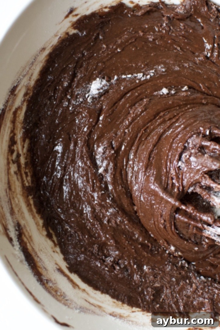Decadent Fudgy Walnut Brownies 7 Gently whisking flour into the classic brownie batter until just combined