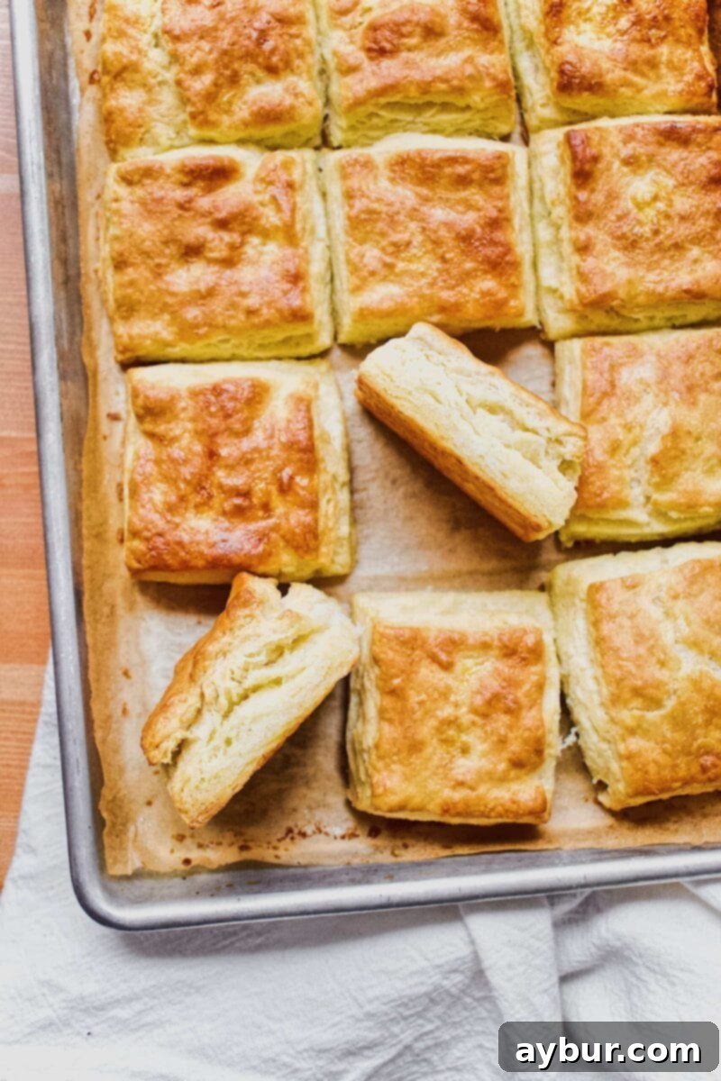 Fried Chicken Biscuit 5 Freshly baked square biscuits, 'JoJo's Biscuits'
