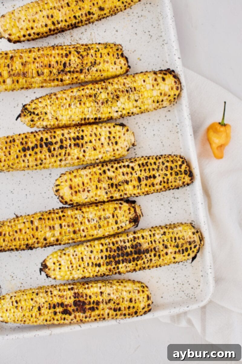 Grilled corn just off the grill, showing a perfect char