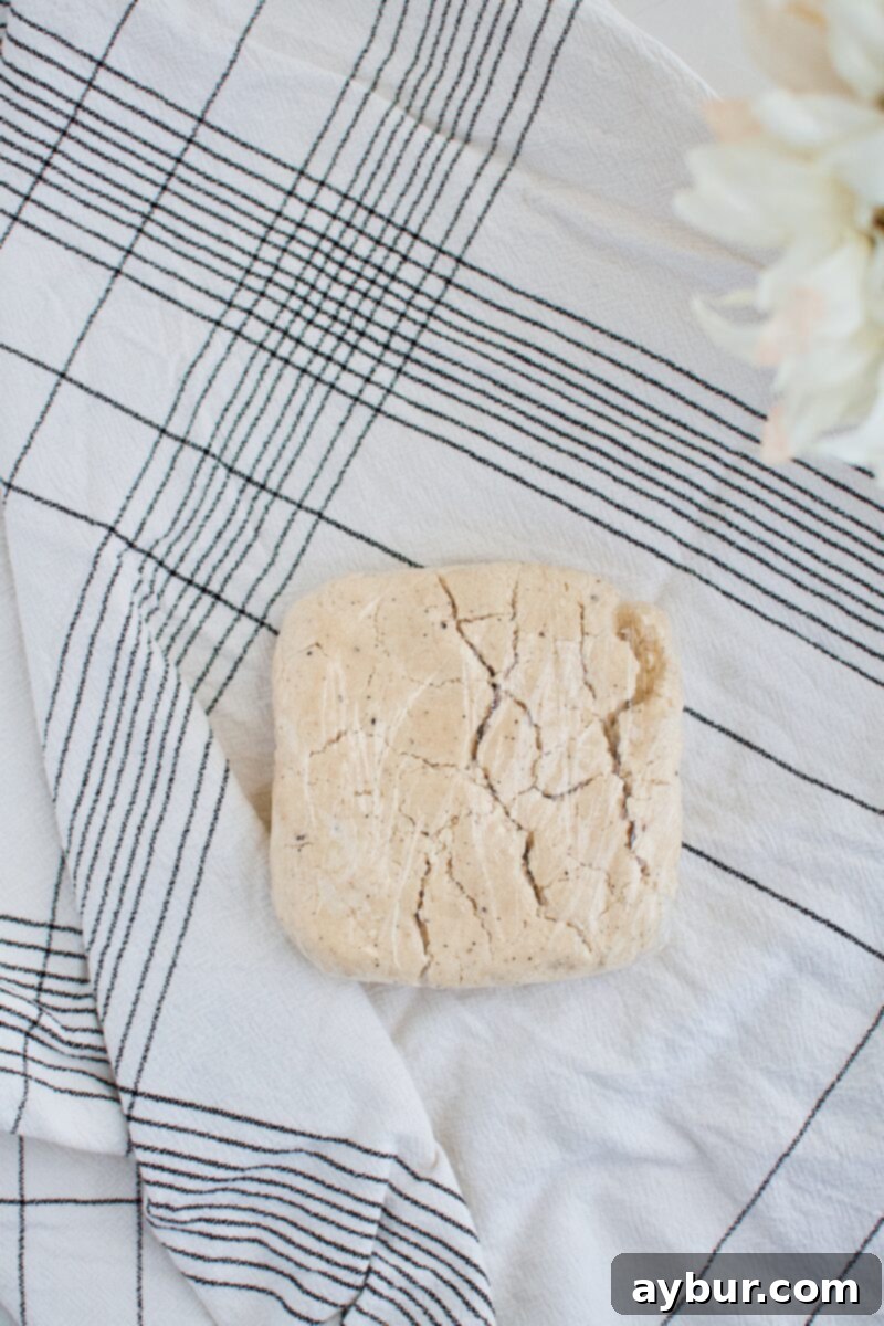 Savory Parmesan Pastry 4 Parmesan Pie Crust dough wrapped in plastic, resting