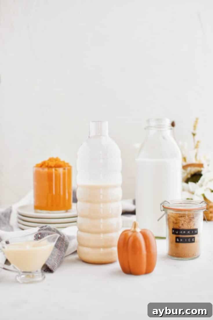 A charming image displaying the homemade pumpkin milk ingredients, ready to be prepared.