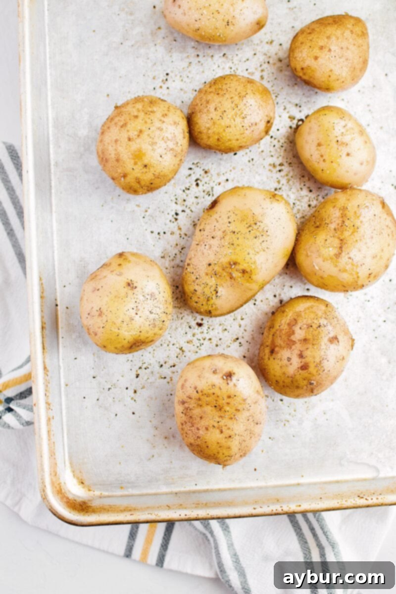 Boiled potatoes ready to be smashed before broiling to perfection