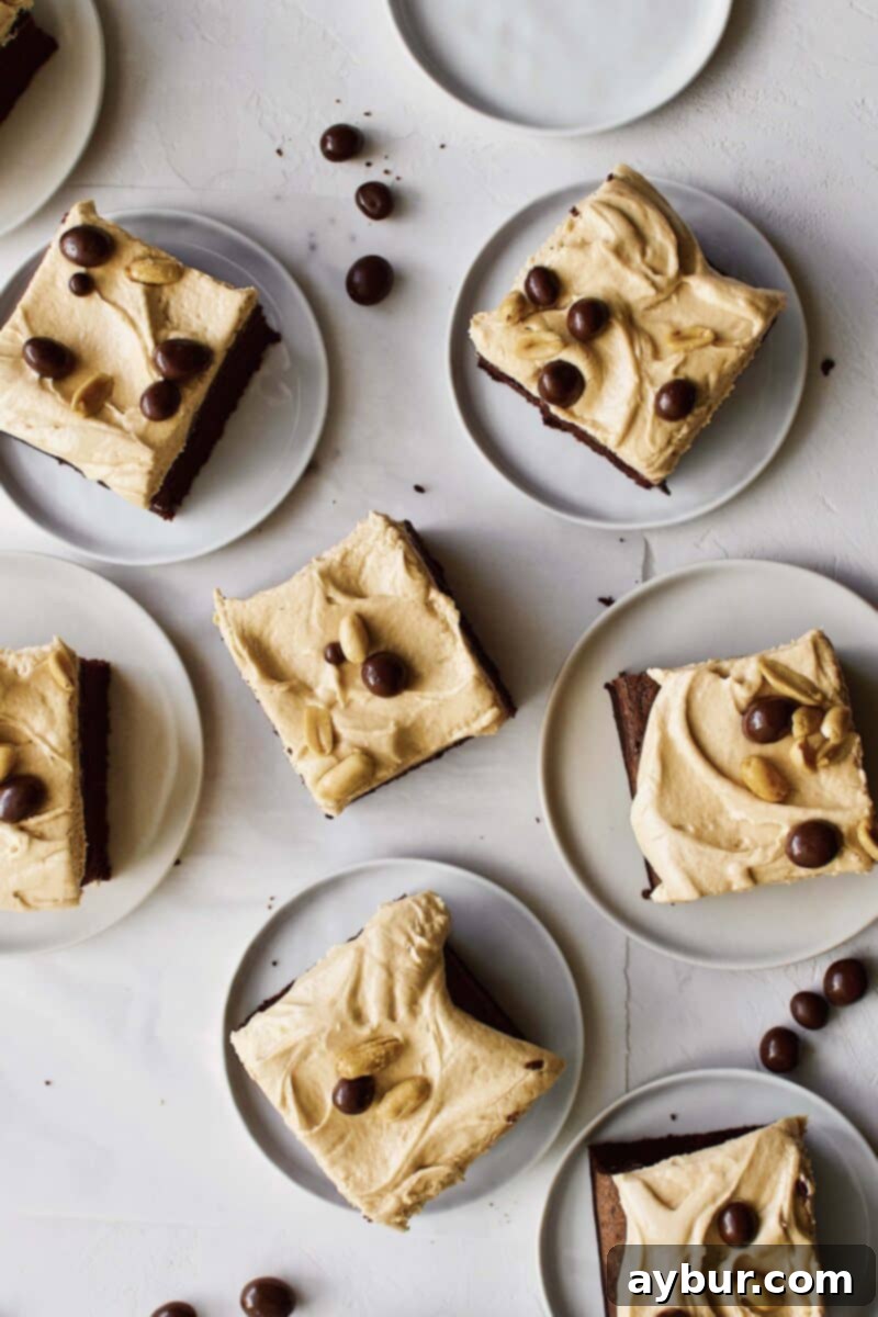 A generous slice of Chocolate Covered Peanut Cake, displaying rich chocolate cake layers, creamy peanut butter frosting, and a topping of both salted and chocolate-covered peanuts. The slice rests on a white plate with extra peanuts scattered around, ready to be savored.
