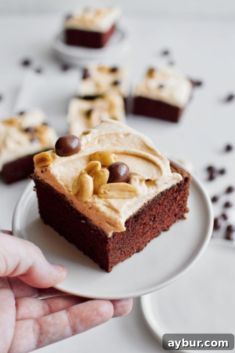 A single slice of the rich Chocolate Covered Peanut Cake, beautifully frosted and topped with peanuts, being offered on a white plate, inviting someone to enjoy it.