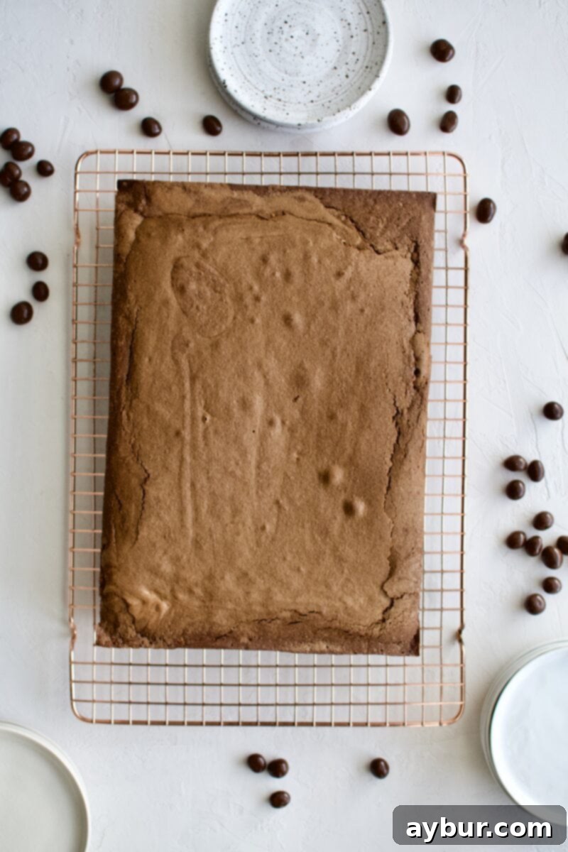 A freshly baked chocolate cake cooling on a wire rack, still in its baking pan, allowing residual heat to escape.