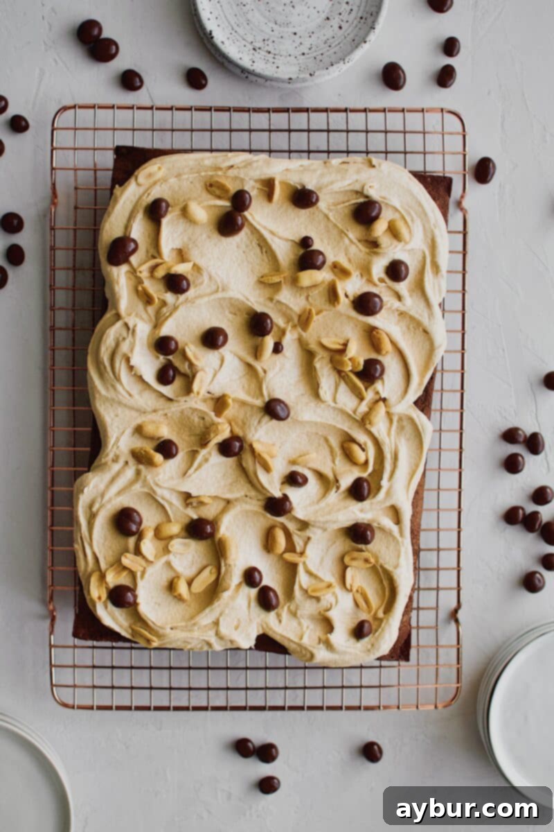 The fully decorated Chocolate Covered Peanut Cake, adorned with generous sprinkles of both salted peanuts and chocolate-covered peanuts over the creamy peanut butter frosting.