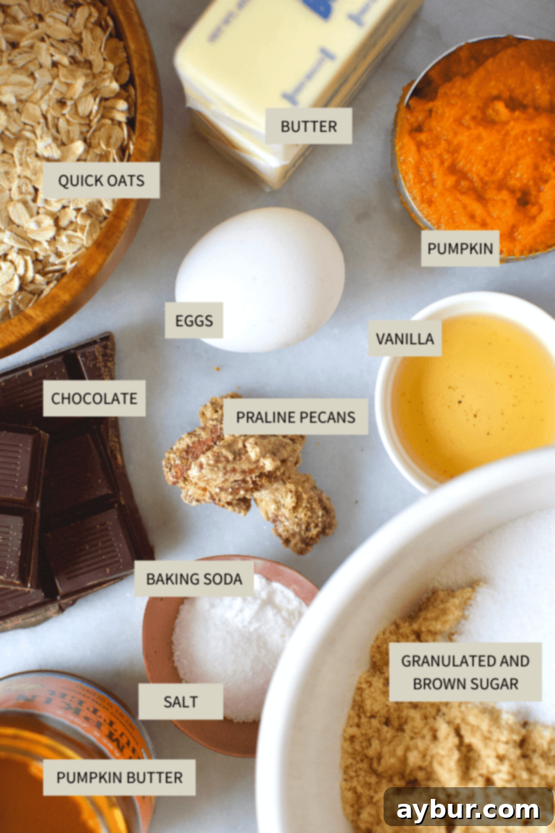 Arrangement of fresh ingredients for Pumpkin Oatmeal Cookies including butter, sugar, pumpkin puree, flour, oats, chocolate, and pecans.