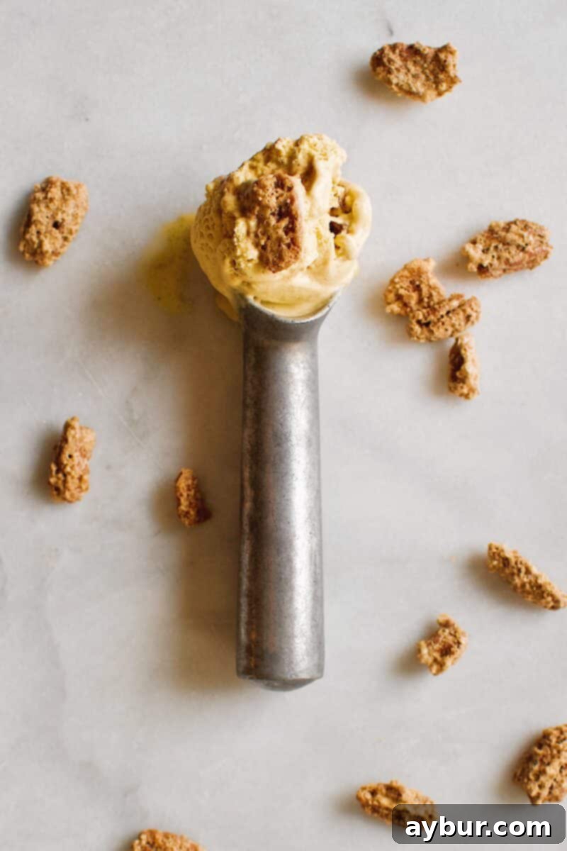 A single scoop of rich, creamy Pumpkin Cardamom Ice Cream, garnished beautifully.