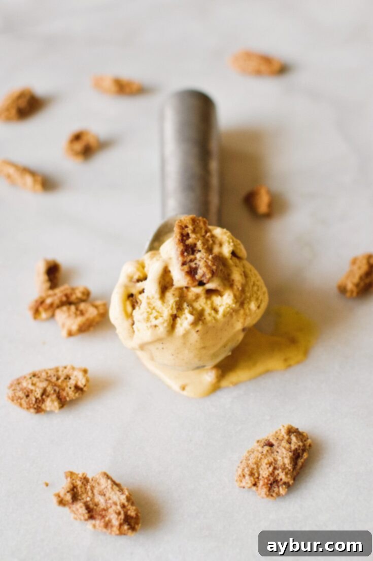 a single scoop of Pumpkin Cardamom Ice Cream.